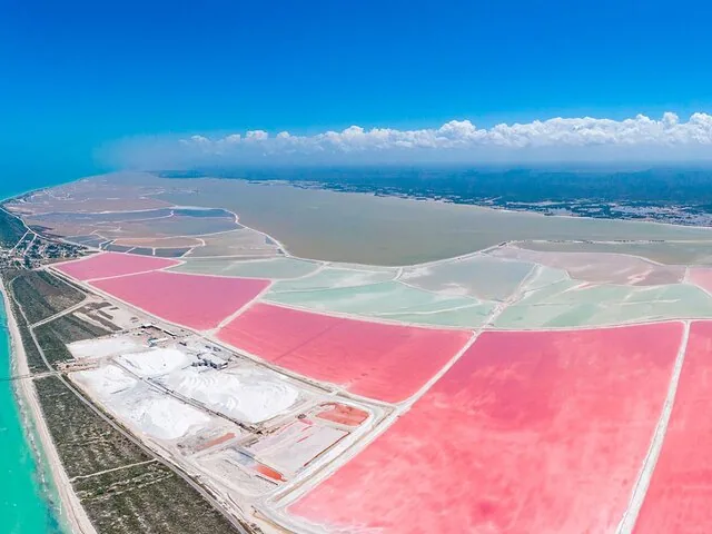 Vue aérienne de salines d'un rose éclatant au bord d'une mer bleue.
