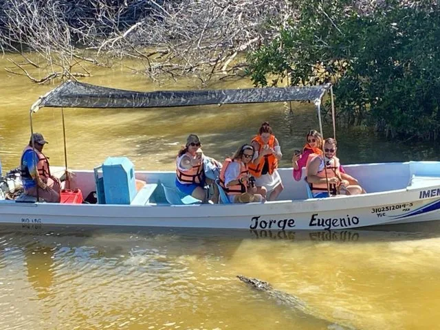 Des touristes sur un petit bateau observant un crocodile dans une eau boueuse