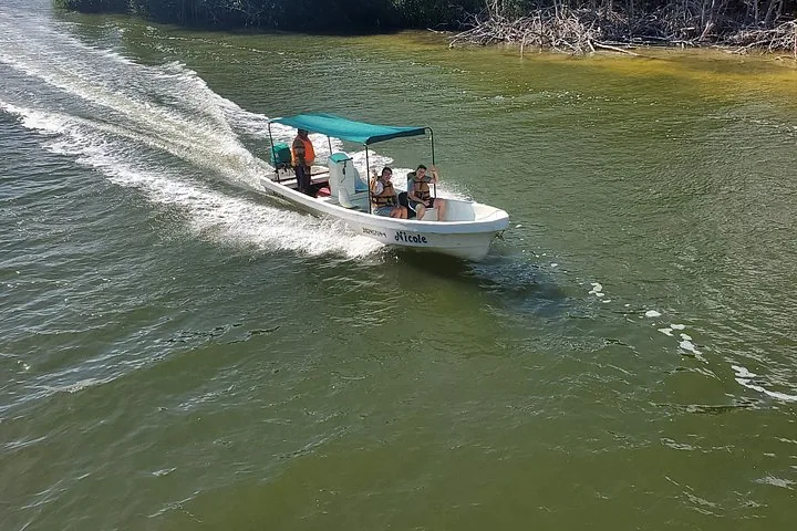 Un petit bateau avec trois personnes file sur une rivière verte