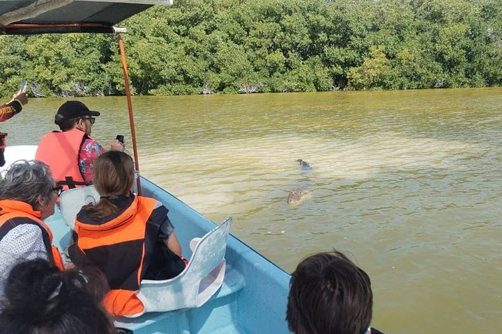 People on a boat watching a crocodile swim in the river