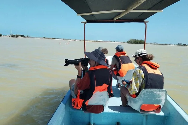 Tourists in orange life jackets taking photos from a boat