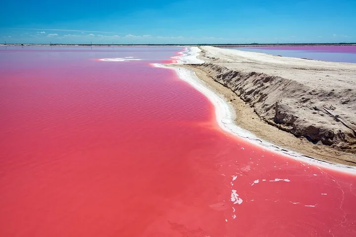 Une eau rose éclatante bordée de bancs de sable blanc sous un ciel bleu.